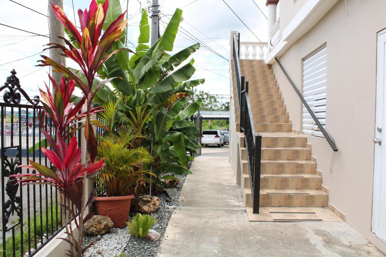 Discovery Beach Apartments Aguada Eksteriør billede